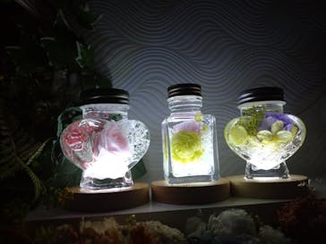 ずこうしつ〜sugamo〜に投稿された画像（2022/3/26）