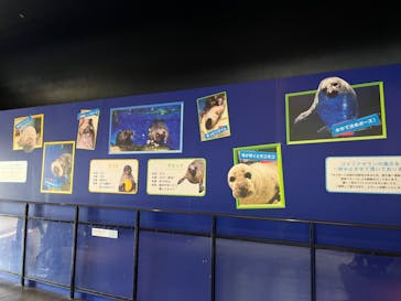 マクセル アクアパーク品川に投稿された画像（2022/3/26）