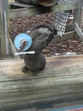 横浜・八景島シーパラダイスに投稿された画像（2022/3/26）