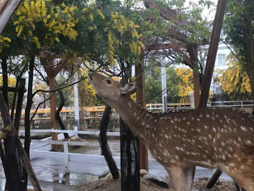 神戸どうぶつ王国に投稿された画像（2022/3/26）