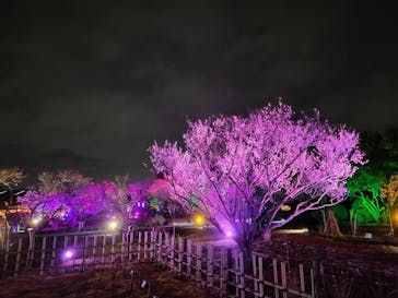 せんだい農業園芸センター　みどりの杜に投稿された画像（2022/3/26）