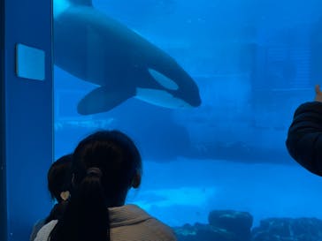 名古屋港水族館に投稿された画像（2022/3/26）