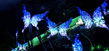 さがみ湖MORI MORIに投稿された画像（2022/3/26）