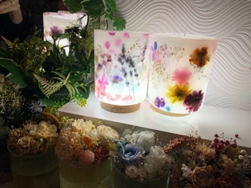 ずこうしつ〜sugamo〜に投稿された画像（2022/3/26）