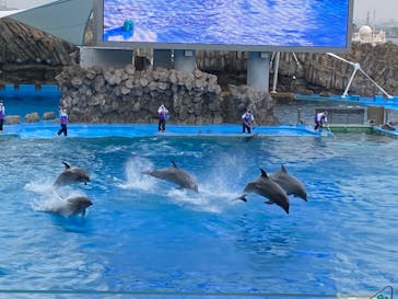 名古屋港水族館に投稿された画像（2022/3/26）