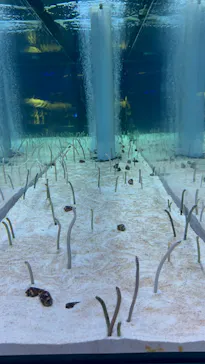 すみだ水族館に投稿された画像（2022/3/26）