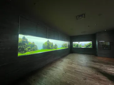 すみだ水族館に投稿された画像（2022/3/26）