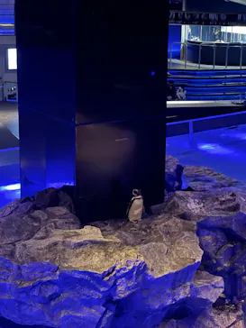 すみだ水族館に投稿された画像（2022/3/26）