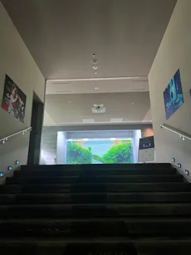 すみだ水族館に投稿された画像（2022/3/26）