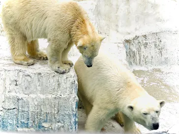 天王寺動物園に投稿された画像（2022/3/26）