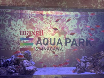 マクセル アクアパーク品川に投稿された画像（2022/3/26）