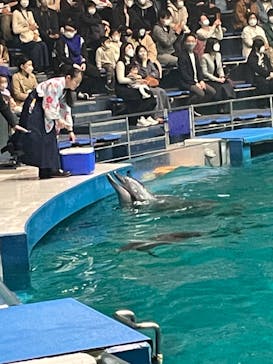 マクセル アクアパーク品川に投稿された画像（2022/3/26）