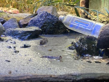 名古屋港水族館に投稿された画像（2022/3/26）