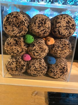 京都水族館に投稿された画像（2022/3/26）