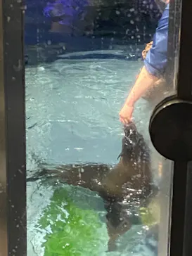 すみだ水族館に投稿された画像（2022/3/26）