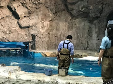 名古屋港水族館に投稿された画像（2022/3/26）