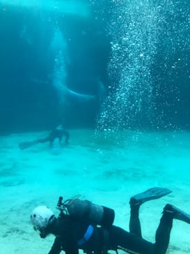 名古屋港水族館に投稿された画像（2022/3/26）