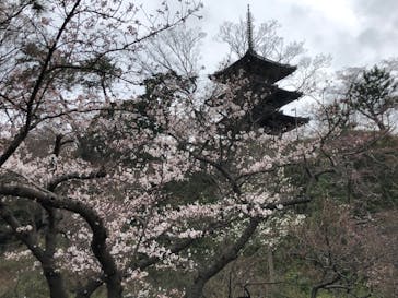 三溪園に投稿された画像（2022/3/27）