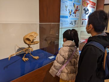国立科学博物館　特別企画展「ポケモン化石博物館」に投稿された画像（2022/3/27）