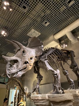 国立科学博物館に投稿された画像（2022/3/27）