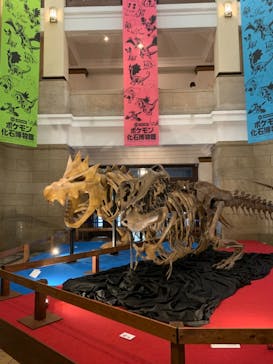 国立科学博物館に投稿された画像（2022/3/27）