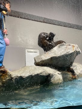 マクセル アクアパーク品川に投稿された画像（2022/3/27）