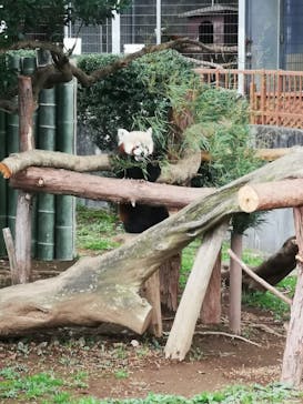 熱川バナナワニ園に投稿された画像（2022/3/27）