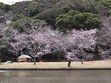 三溪園に投稿された画像（2022/3/27）