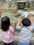 東武動物公園に投稿された画像（2022/3/27）