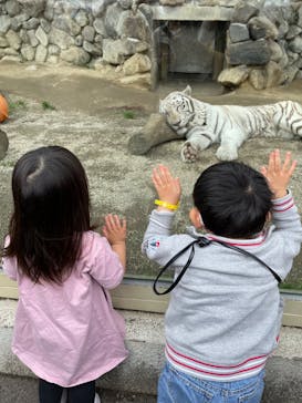 東武動物公園に投稿された画像（2022/3/27）