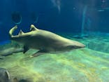 アクアワールド茨城県大洗水族館に投稿された画像（2022/3/27）