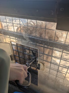 群馬サファリパークに投稿された画像（2022/3/27）