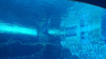 名古屋港水族館に投稿された画像（2022/3/27）