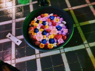 せんだい農業園芸センター　みどりの杜に投稿された画像（2022/3/27）