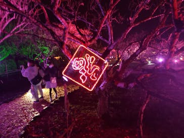 せんだい農業園芸センター　みどりの杜に投稿された画像（2022/3/27）