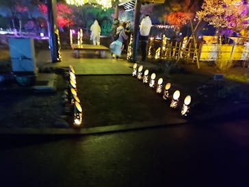 せんだい農業園芸センター　みどりの杜に投稿された画像（2022/3/27）