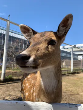 神戸どうぶつ王国に投稿された画像（2022/3/27）
