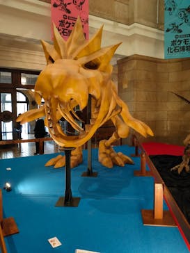 国立科学博物館　特別企画展「ポケモン化石博物館」に投稿された画像（2022/3/27）