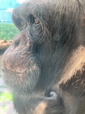 伊豆シャボテン動物公園に投稿された画像（2022/3/27）