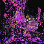 森ビル デジタルアート ミュージアム：エプソン チームラボボーダレスに投稿された画像（2022/3/27）