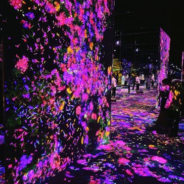 森ビル デジタルアート ミュージアム：エプソン チームラボボーダレスに投稿された画像（2022/3/27）