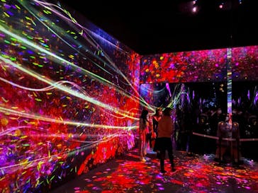 森ビル デジタルアート ミュージアム：エプソン チームラボボーダレスに投稿された画像（2022/3/27）