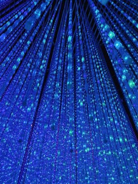 森ビル デジタルアート ミュージアム：エプソン チームラボボーダレスに投稿された画像（2022/3/27）