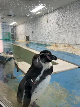 天王寺動物園に投稿された画像（2022/3/27）