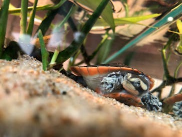 名古屋港水族館に投稿された画像（2022/3/27）