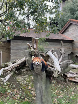 ひらかたパークに投稿された画像（2022/3/27）