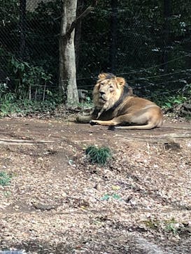 よこはま動物園ズーラシアに投稿された画像（2022/3/27）