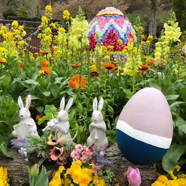 ACAO FORESTに投稿された画像（2022/3/27）