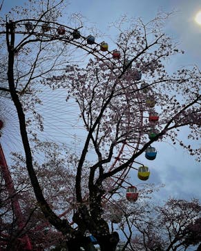 西武園ゆうえんちに投稿された画像（2022/3/27）