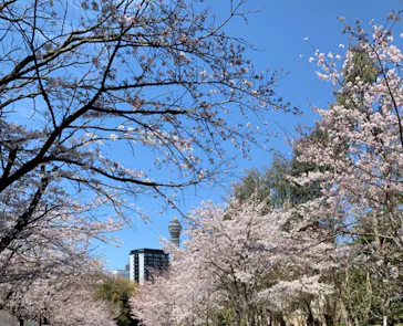 天王寺動物園に投稿された画像（2022/3/27）